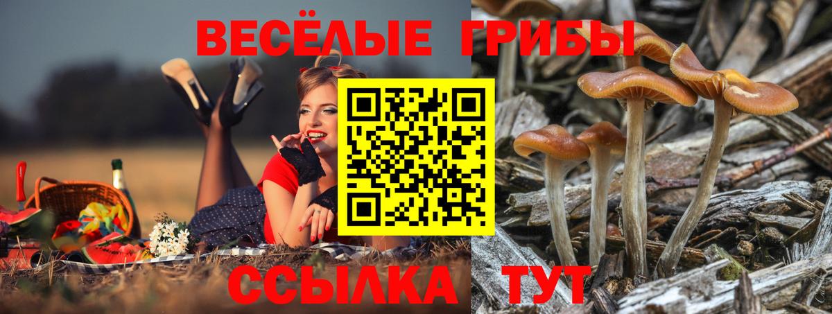 Среднеуральск  Псилоцибиновые грибы мицелий  Вход с VPN 